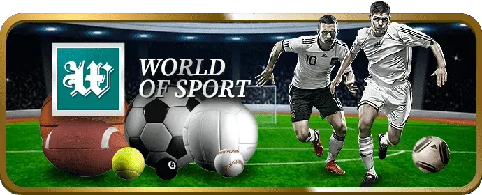 Hệ thống cấp độ VIP 33win01